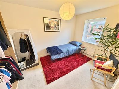 Picture 20
